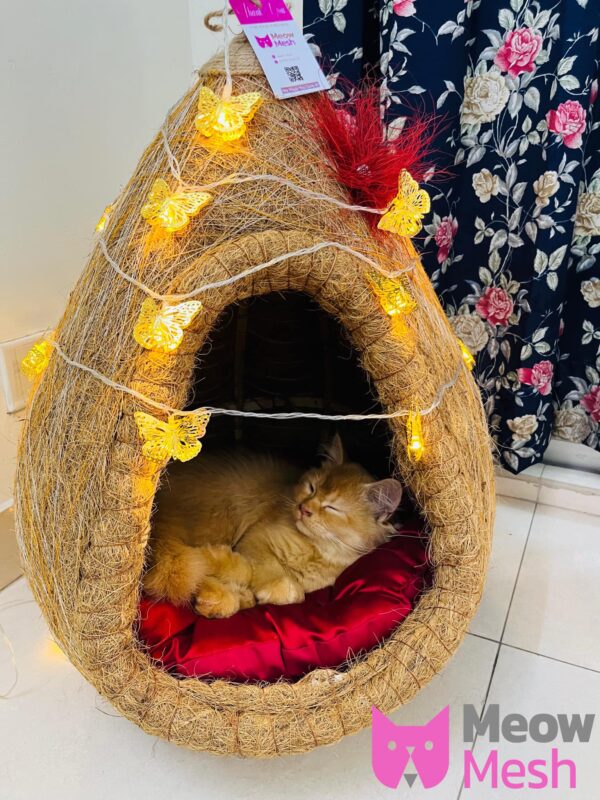Nest Cat House With Butterfly Light - Image 4