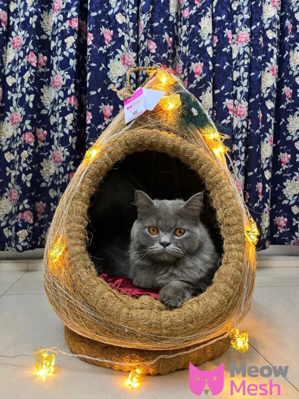 Nest Cat House With Butterfly Light - Image 3