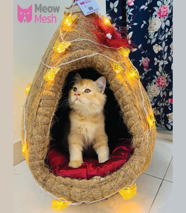 Nest Cat House With Butterfly Light