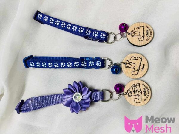 cat  paw 🐾 belt