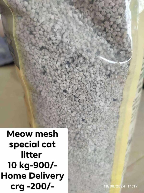 cat litter