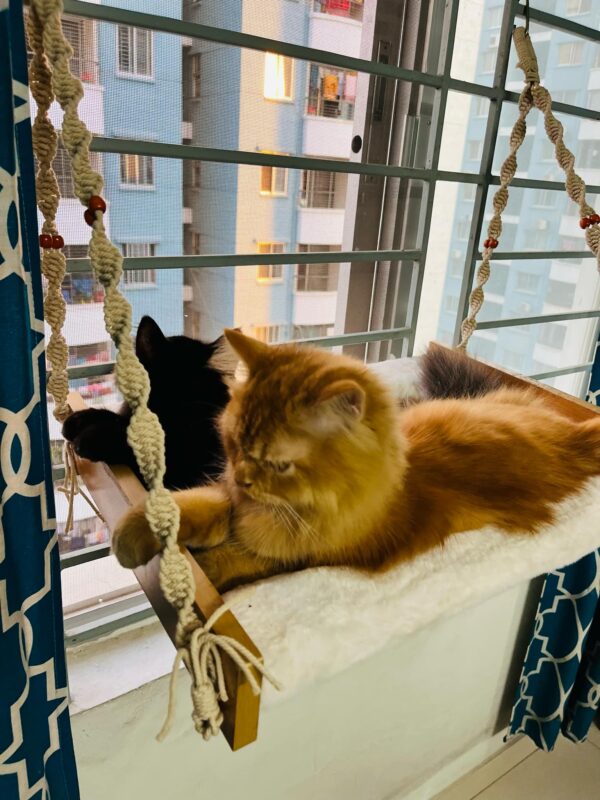 Special Macramé Cat Hammock - Image 4