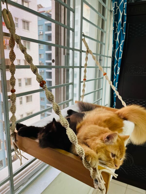 Special Macramé Cat Hammock - Image 5