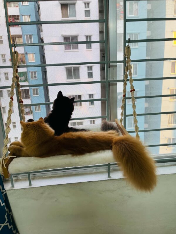 Special Macramé Cat Hammock - Image 6
