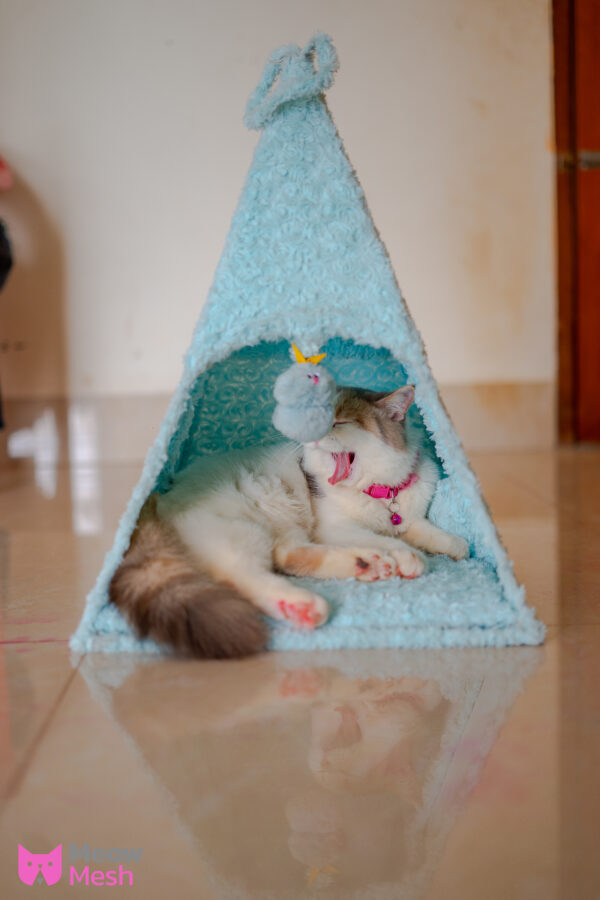 Mesh Rose Egyptian Cat House